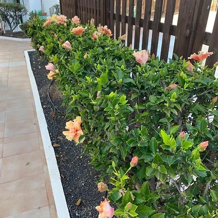 San Valentine Apartamento *